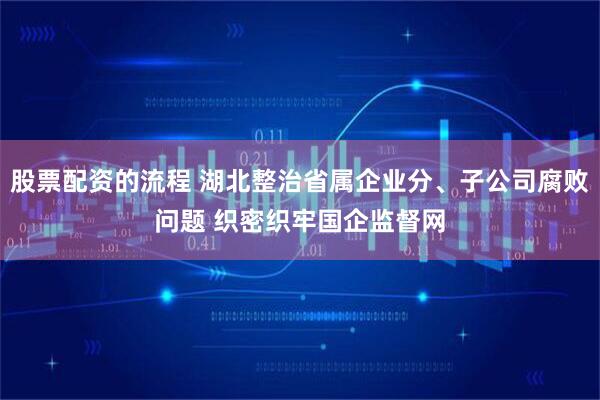 股票配资的流程 湖北整治省属企业分、子公司腐败问题 织密织牢国企监督网