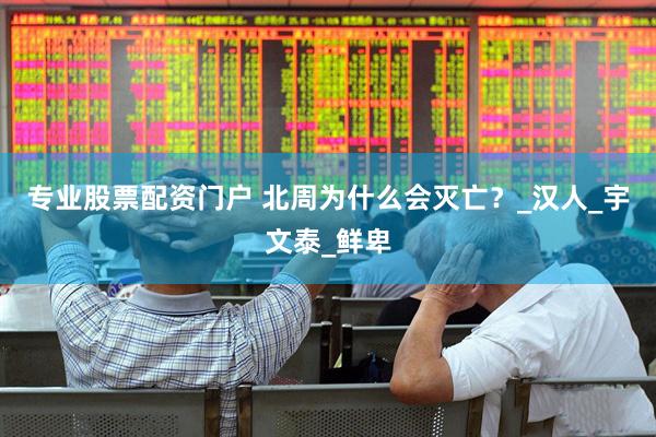 专业股票配资门户 北周为什么会灭亡？_汉人_宇文泰_鲜卑