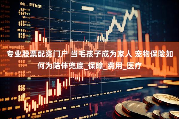 专业股票配资门户 当毛孩子成为家人 宠物保险如何为陪伴兜底_保障_费用_医疗