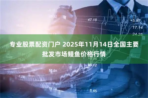专业股票配资门户 2025年11月14日全国主要批发市场鳗鱼价格行情